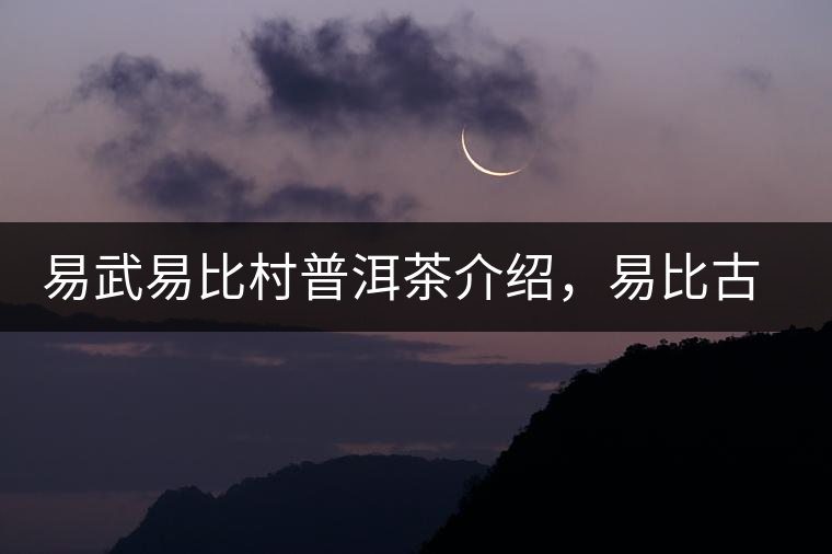 易武易比村普洱茶介紹，易比古樹茶口感特點(diǎn)