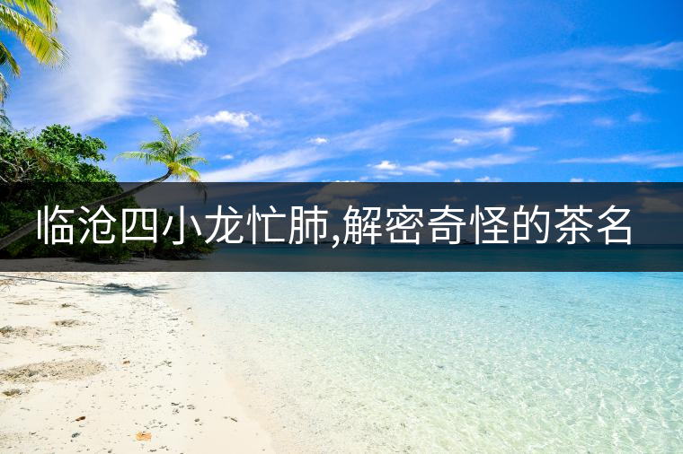 臨滄四小龍忙肺,解密奇怪的茶名“忙肺”