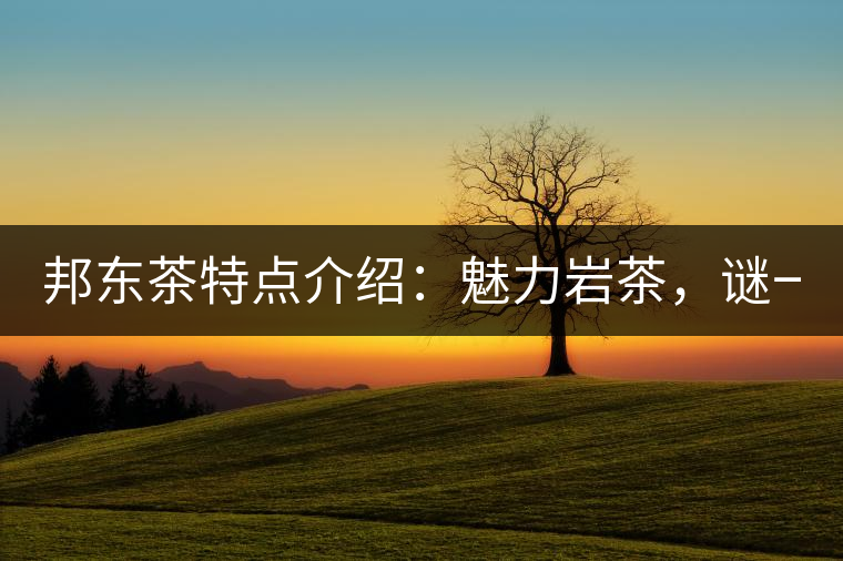 邦東茶特點(diǎn)介紹：魅力巖茶，謎一樣的邦東！