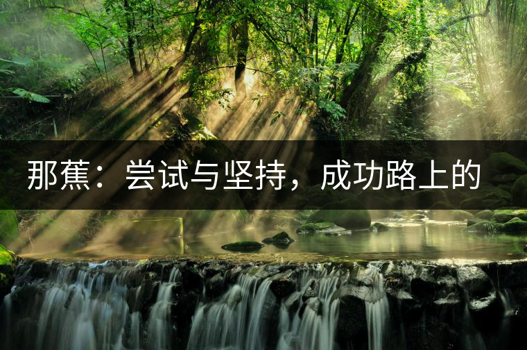 那蕉：嘗試與堅持，成功路上的墊腳石