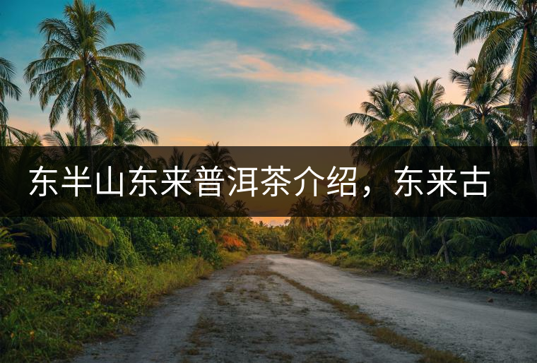 東半山東來普洱茶介紹，東來古樹茶口感特點(diǎn)