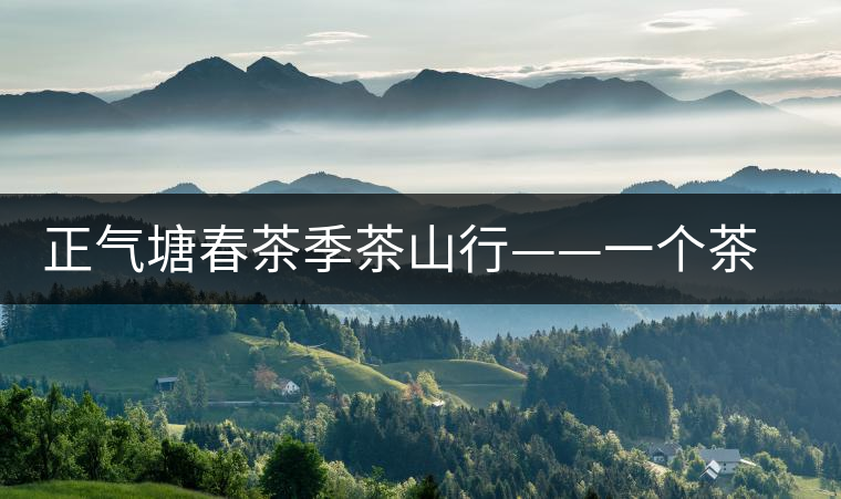 正氣塘春茶季茶山行——一個茶人的承諾 正氣塘春茶季茶山行——一個茶人的承諾