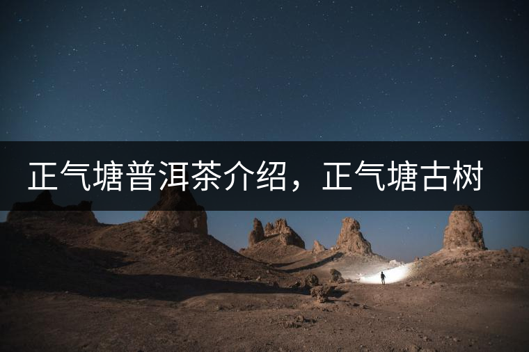 正氣塘普洱茶介紹，正氣塘古樹茶口感特點(diǎn)