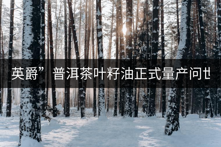 英爵”普洱茶葉籽油正式量產(chǎn)問(wèn)世。