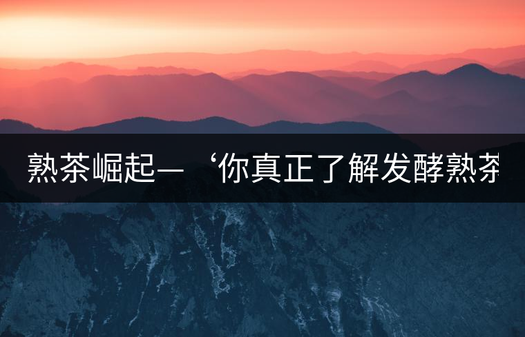 熟茶崛起—‘你真正了解發(fā)酵熟茶？’