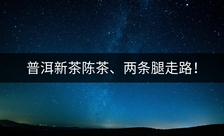 普洱新茶陳茶、兩條腿走路！