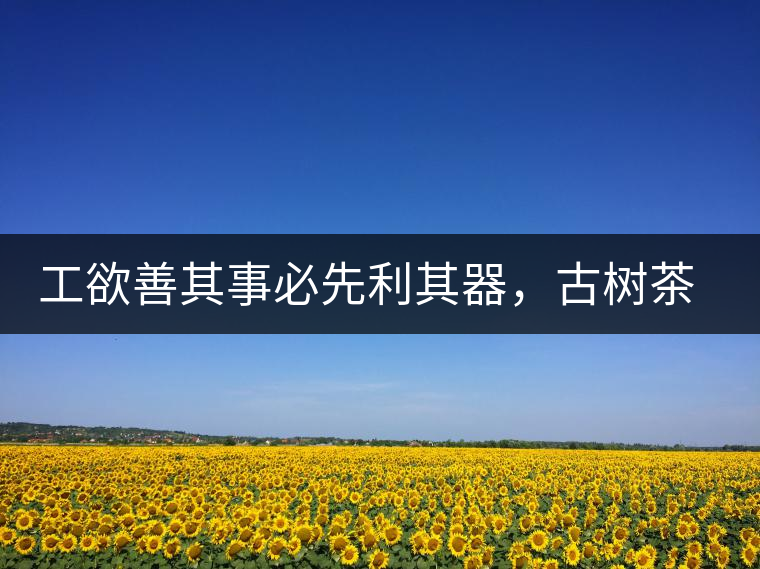 工欲善其事必先利其器，古樹茶用什么茶器最好？