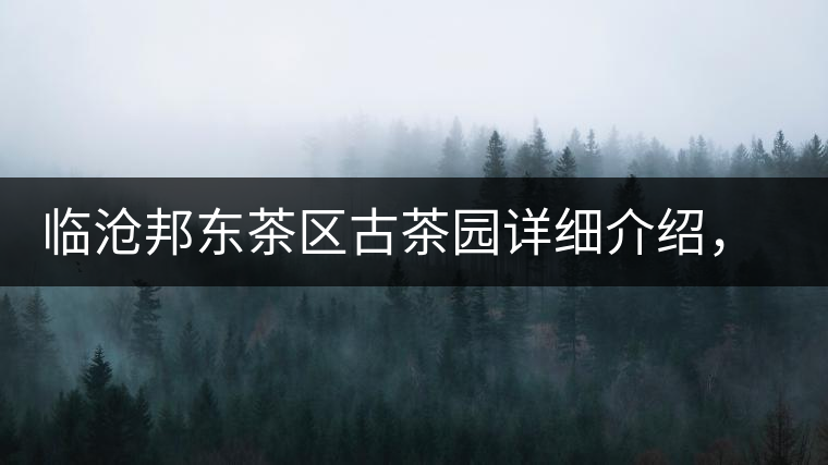 臨滄邦東茶區(qū)古茶園詳細(xì)介紹，邦東古樹茶特點(diǎn)