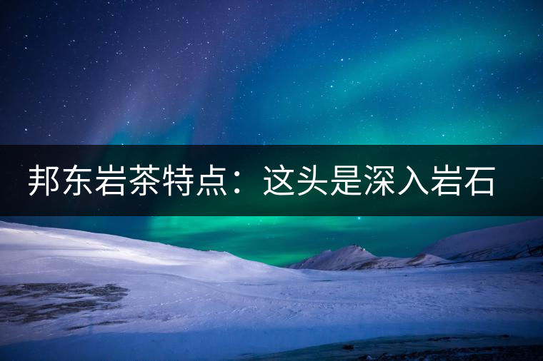 邦東巖茶特點(diǎn)：這頭是深入巖石的根，那頭是臨風(fēng)飄香的古韻