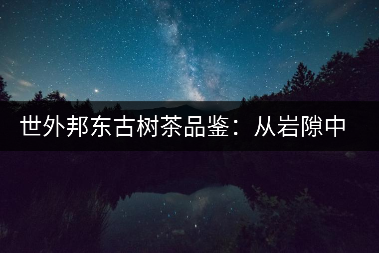 世外邦東古樹(shù)茶品鑒:從巖隙中開(kāi)出的花朵 世外邦東古樹(shù)茶品鑒:從巖隙中開(kāi)出的花朵