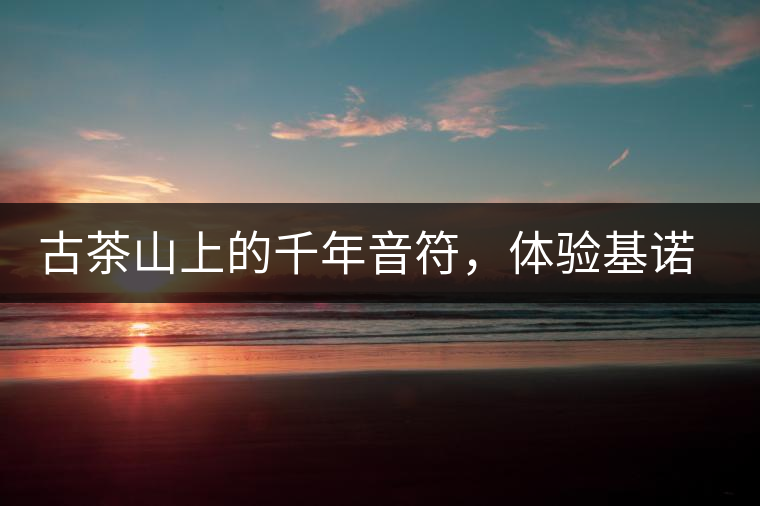 古茶山上的千年音符，體驗基諾山寨