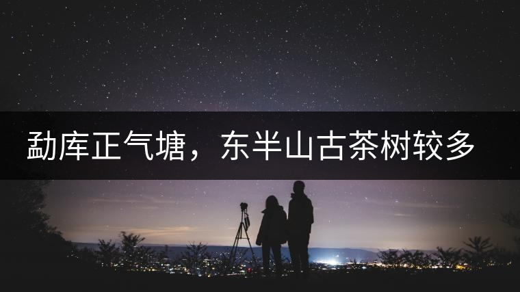 勐庫正氣塘，東半山古茶樹較多的寨子