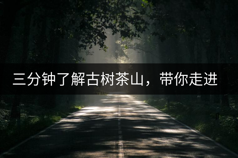 三分鐘了解古樹茶山，帶你走進(jìn)西蒙佛殿山