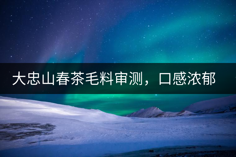 大忠山春茶毛料審測，口感濃郁花香與甜潤口感相得益彰