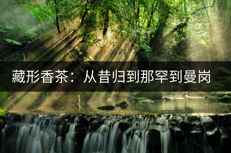 藏形香茶：從昔歸到那罕到曼崗，邦東古茶藏著一條規(guī)律！