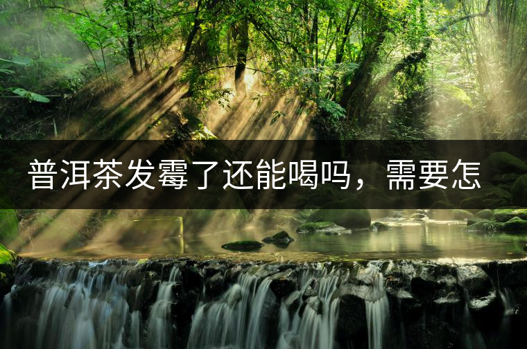 普洱茶發(fā)霉了還能喝嗎，需要怎么處理？