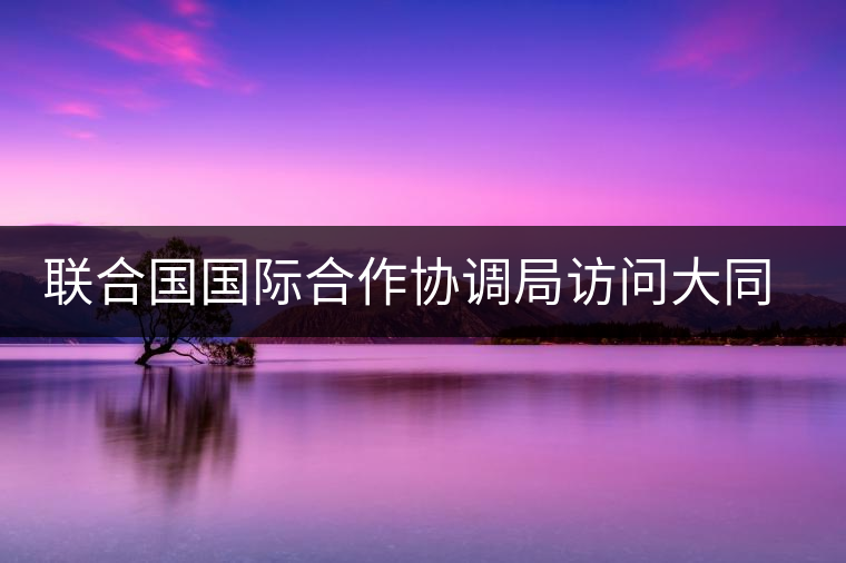聯(lián)合國國際合作協(xié)調(diào)局訪問大同世界總部