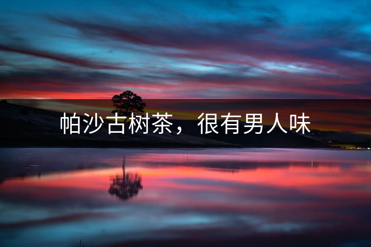 帕沙古樹茶，很有男人味