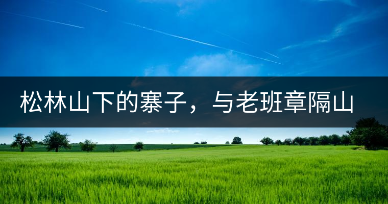 松林山下的寨子，與老班章隔山相望的廣別老寨