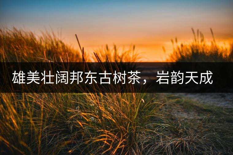 雄美壯闊邦東古樹茶，巖韻天成甘香鮮靈