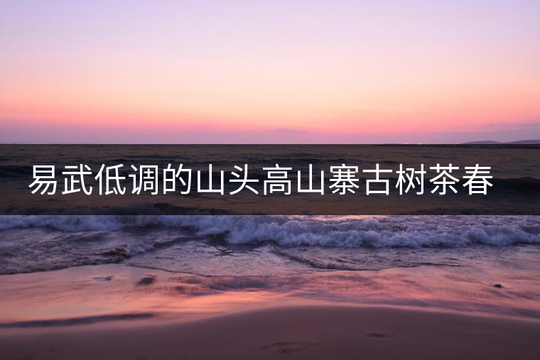 易武低調(diào)的山頭高山寨古樹(shù)茶春茶 易武低調(diào)的山頭高山寨古樹(shù)茶春茶