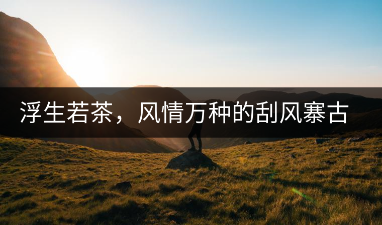 浮生若茶，風情萬種的刮風寨古樹茶