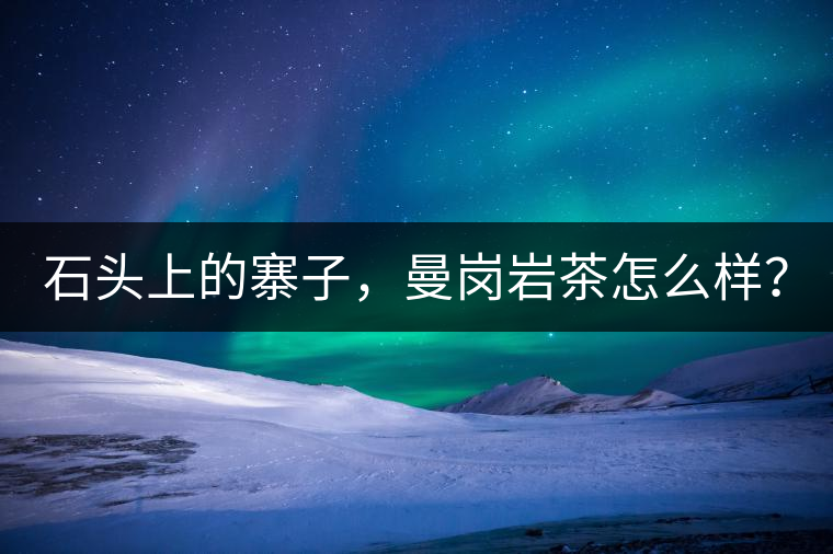 石頭上的寨子，曼崗巖茶怎么樣？