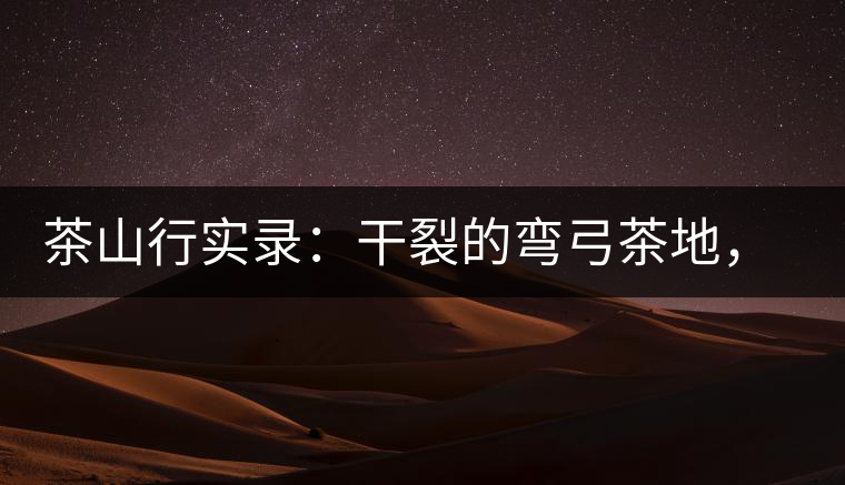 茶山行實錄：干裂的彎弓茶地，干旱減產(chǎn)已成定局