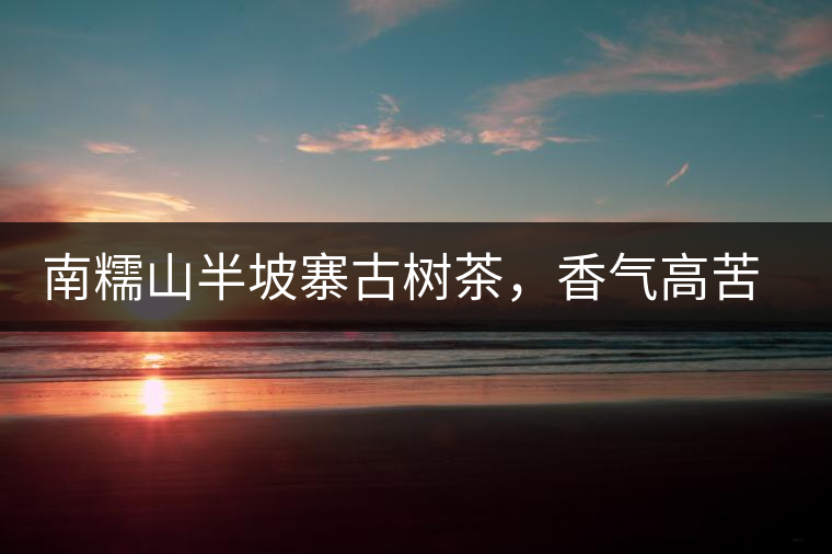 南糯山半坡寨古樹茶，香氣高苦味淡甜味重