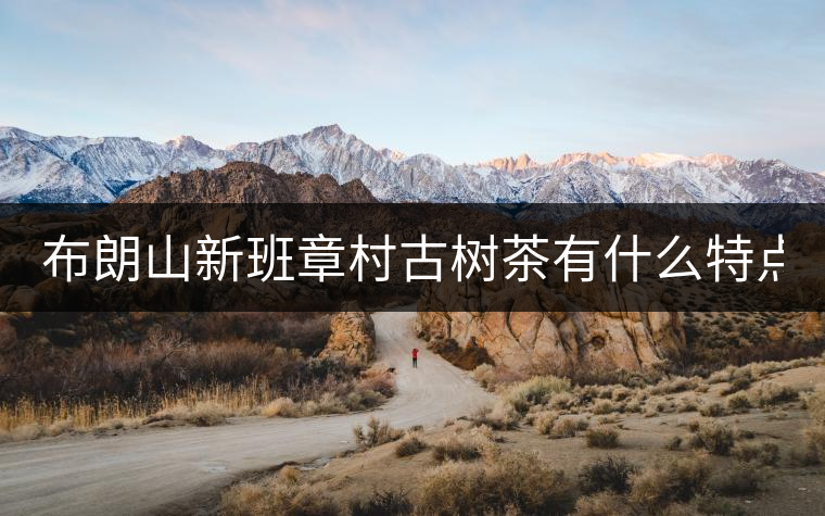 布朗山新班章村古樹茶有什么特點？