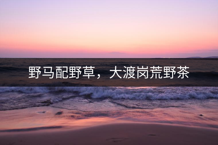 野馬配野草，大渡崗荒野茶