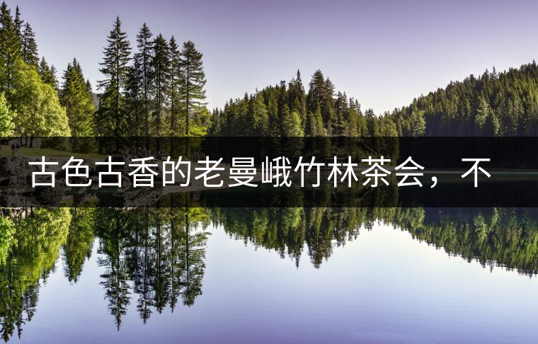 古色古香的老曼峨竹林茶會，不一樣的古樹茶