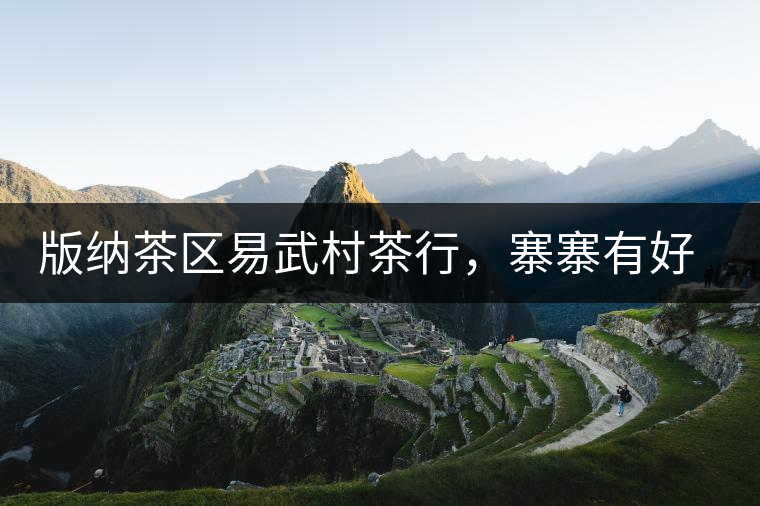 版納茶區(qū)易武村茶行，寨寨有好茶處處古茶香