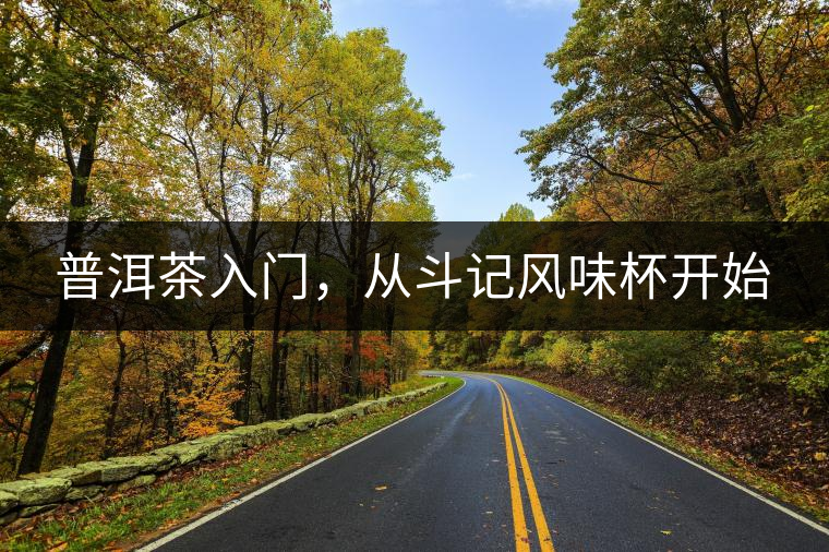 普洱茶入門，從斗記風(fēng)味杯開始