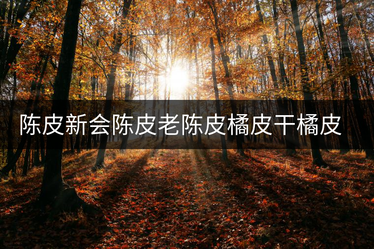 陳皮新會(huì)陳皮老陳皮橘皮干橘皮薏米茶非特級(jí)罐裝可配普洱白茶黃芪 陳皮新會(huì)陳皮老陳皮橘皮干橘皮薏米茶非特級(jí)罐裝可配普洱白茶黃芪