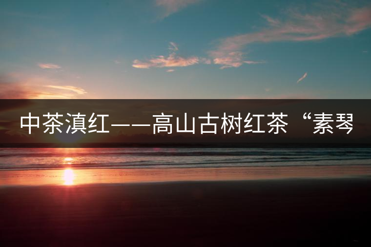 中茶滇紅——高山古樹(shù)紅茶“素琴紅”