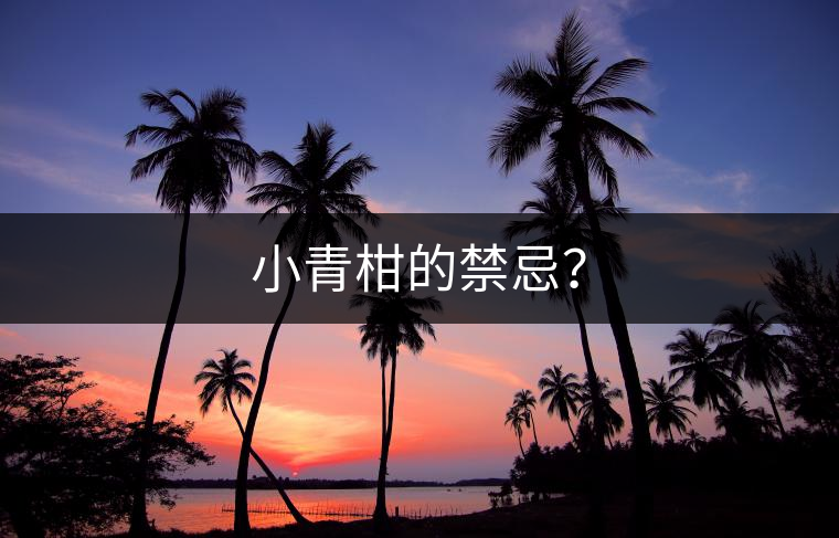 小青柑的禁忌? 小青柑的禁忌?