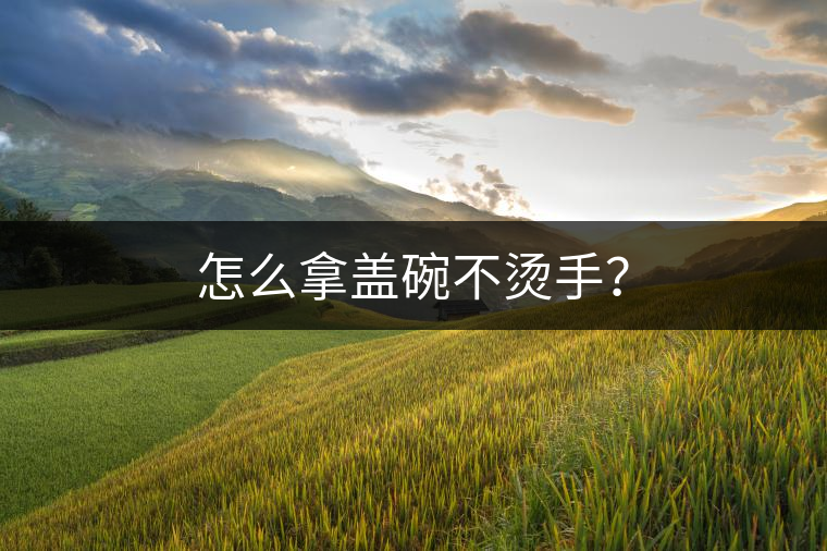 怎么拿蓋碗不燙手？