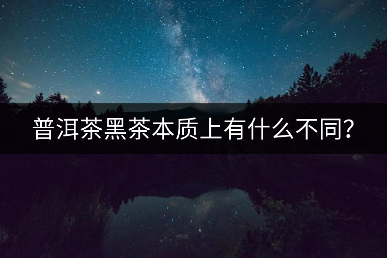 普洱茶黑茶本質(zhì)上有什么不同？