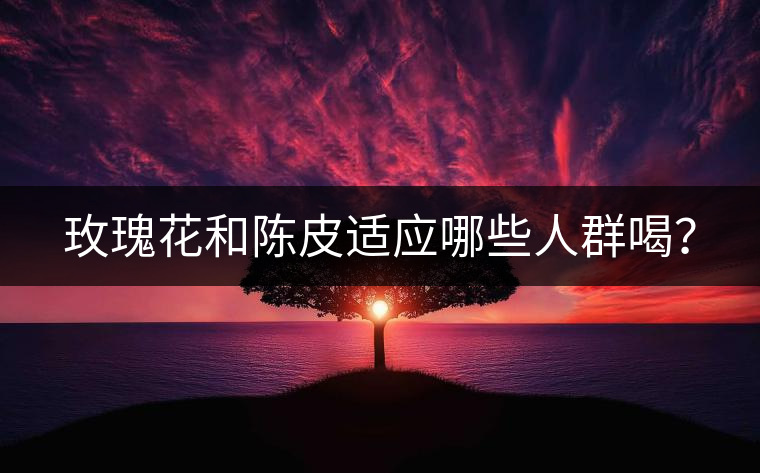 玫瑰花和陳皮適應(yīng)哪些人群喝？