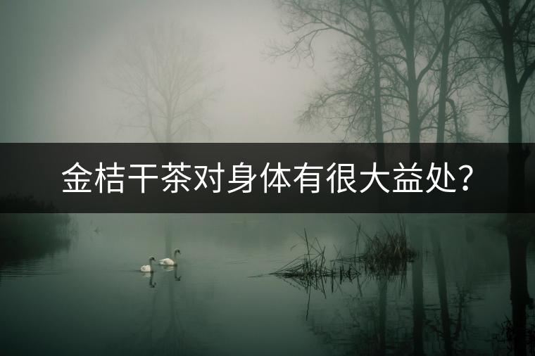 金桔干茶對(duì)身體有很大益處？