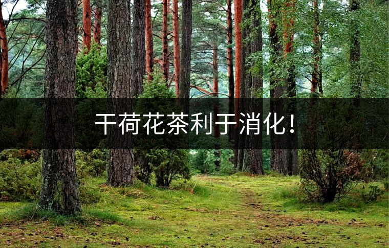 干荷花茶利于消化！