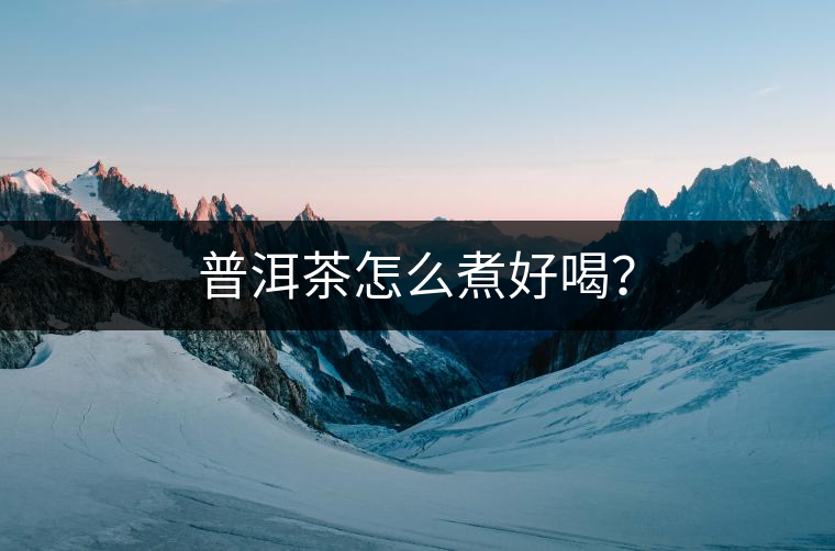 普洱茶怎么煮好喝？