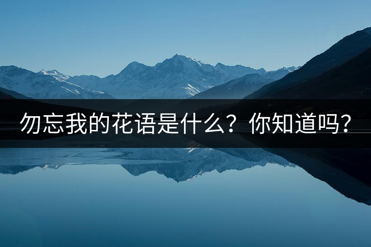 勿忘我的花語是什么？你知道嗎？
