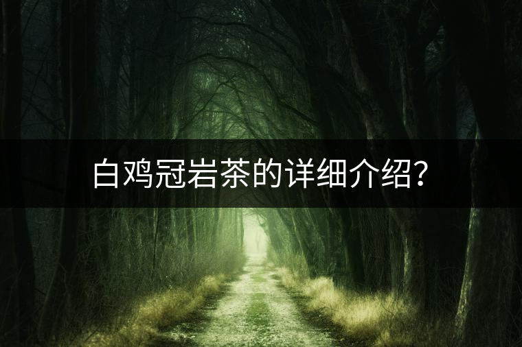 白雞冠巖茶的詳細介紹？
