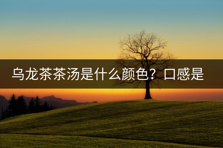 烏龍茶茶湯是什么顏色？口感是什么？