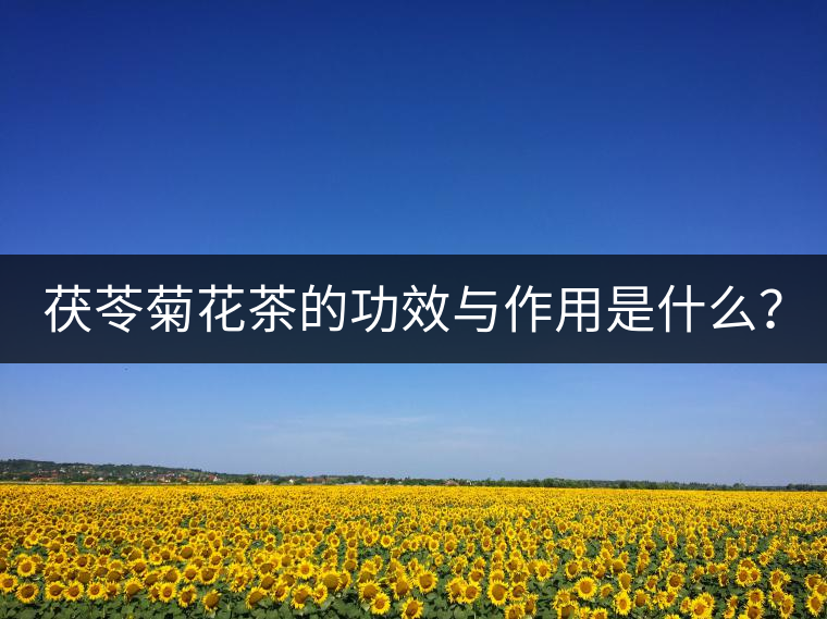 茯苓菊花茶的功效與作用是什么？