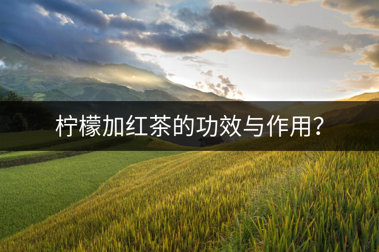 檸檬加紅茶的功效與作用？