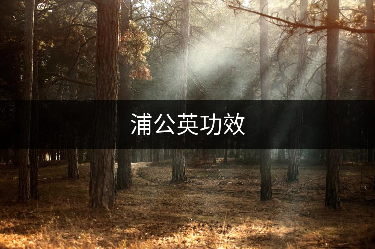 浦公英功效 浦公英功效