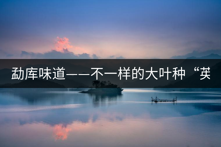 勐庫(kù)味道——不一樣的大葉種“英豪” 勐庫(kù)味道——不一樣的大葉種“英豪”